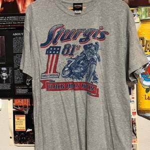 Harley-Davidson Sturgis 81st Black Hills Rally T-Shirt, Gray, Men's XL